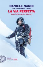 via perfetta. Nanga Parbat: sperone Mummery