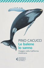 balene lo sanno. Viaggio nella California messicana