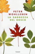 saggezza del bosco