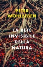 rete invisibile della natura