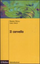 cervello. Anatomia e funzione del Sistema nervoso centrale