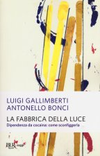 fabbrica della luce. Dipendenza da cocaina: come sconfiggerla