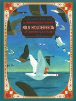 viaggio meraviglioso di Nils Holgersson