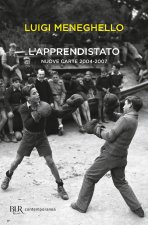 apprendistato. Nuove carte 2004-2007