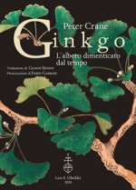 Ginkgo. L'albero dimenticato dal tempo