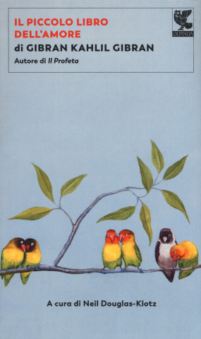piccolo libro dell'amore