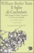 figlio di Cuchulain: Sulla spiaggia di Baile-Purgatorio-La morte di Cuchulain. Testo inglese a fronte