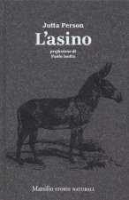 asino