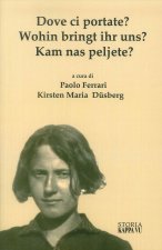 Dove ci Portate? Wohin Bringt Ihr Uns? Kam Nas Peljete? La deportazione dei pazienti psichiatrici della Val Canale e le opzioni italo-tedesche 1939-19