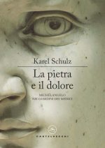 pietra e il dolore. Michelangelo nei giardini dei Medici