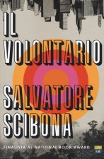 volontario