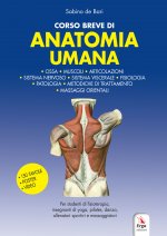 Corso breve di anatomia umana