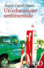 educazione sentimentale