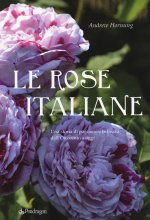 rose italiane. Una storia di passione e bellezza dall'Ottocento a oggi