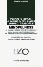 Mindfulness. Al di là del pensiero, attraverso il pensiero