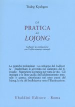 pratica del lojong. Coltivare la compassione con l'addestramento mentale