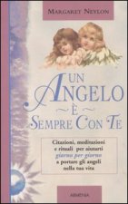 angelo è sempre con te. Citazioni, meditazioni e rituali per aiutarti giorno per giorno a portare gli angeli nella tua vita