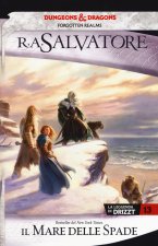 mare delle spade. La leggenda di Drizzt. Forgotten Realms