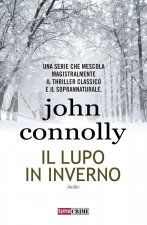 lupo in inverno