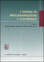 sistemi di programmazione e controllo