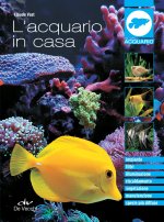 acquario in casa