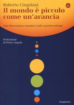 mondo è piccolo come un'arancia. Una discussione semplice sulle nanotecnologie