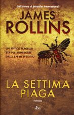 settima piaga