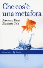 Che cos'è una metafora