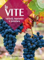 vite. Varietà, impianto e potatura