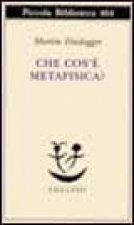 Che cos'è la metafisica