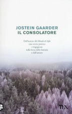 consolatore