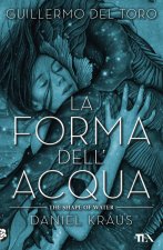 forma dell'acqua-The shape of water