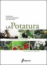 potatura. Piante da frutto, vite e olivo. Nel frutteto e in giardino