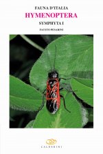 Hymenoptera. Symphyta