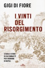 vinti del Risorgimento. Storia e storie di chi combatté per i Borbone di Napoli