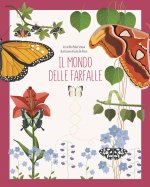 mondo delle farfalle