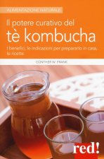 potere curativo del tè Kombucha. I benefici, le indicazioni per prepararlo in casa, le ricette