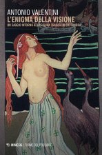 enigma della visione