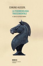 fenomenologia trascendentale