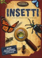 insetti