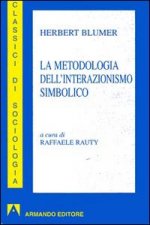 metodologia dell'interazionismo simbolico