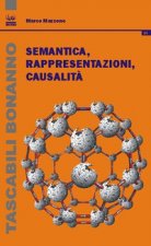 Semantica, rappresentazioni, causalità