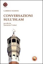 Islam e l'Europa e altri saggi