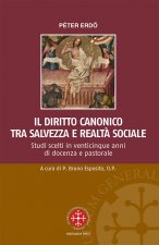 diritto canonico tra salvezza e realtà sociale. Studi scelti in venticinque anni di docenza e pastorale