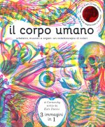 corpo umano. Scheletro, muscoli e organi: un caleidoscopio di colori