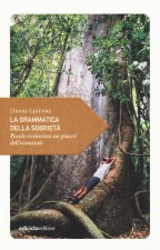 grammatica della sobrietà. Piccole rivelazioni sui piaceri dell'essenziale