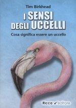 sensi degli uccelli. Cosa significa essere un uccello