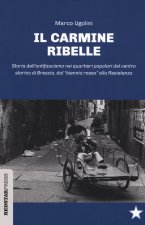 Carmine ribelle. Storia dell'antifascismo nei quartieri popolari del centro storico di Brescia, dal «biennio rosso» alla Resistenza