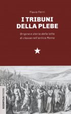 tribuni della plebe. Origine e storia della lotta di classe nell'antica Roma