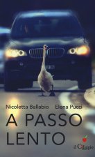 passo lento. Pensieri, idee, proposte per educare alla lentezza nel tempo della velocità